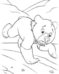 Bärenbrüder ¶ Malvorlagen zum Ausmalen