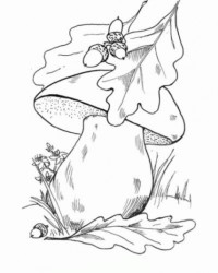 Ausmalbilder Pilz: Fantastische Welten zum Leben Erwecken – Kostenlos!