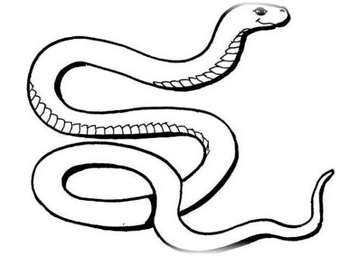Ausmalbilder Schlange gratis 1 ¶ Malvorlagen zum Ausmalen